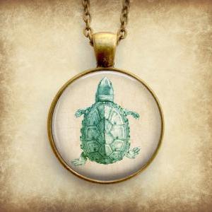 Turtle Necklace: Green Turtle Pendant. Picture..